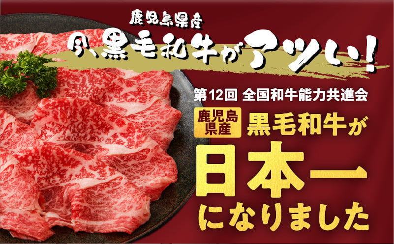 【岩元精肉店】鹿児島県産精肉 厳選4か月お届けコース　K045-T04