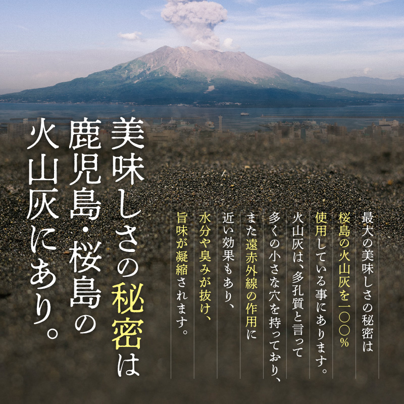 桜島灰干し 5種詰合せ【特選】　K178-002