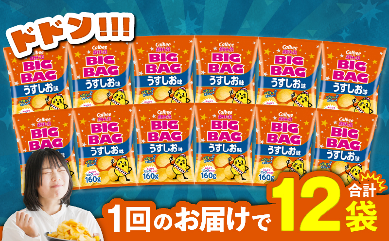 カルビー ポテトチップス BIGBAG【うすしお】12袋　K194-002_04