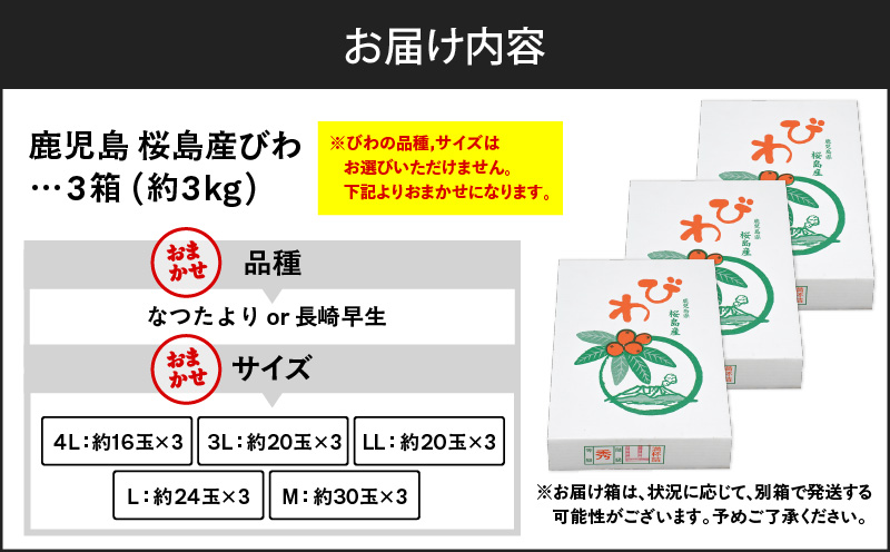 旬の朝採り！ 鹿児島 桜島産びわ 3箱（秀品）　K343-001_03