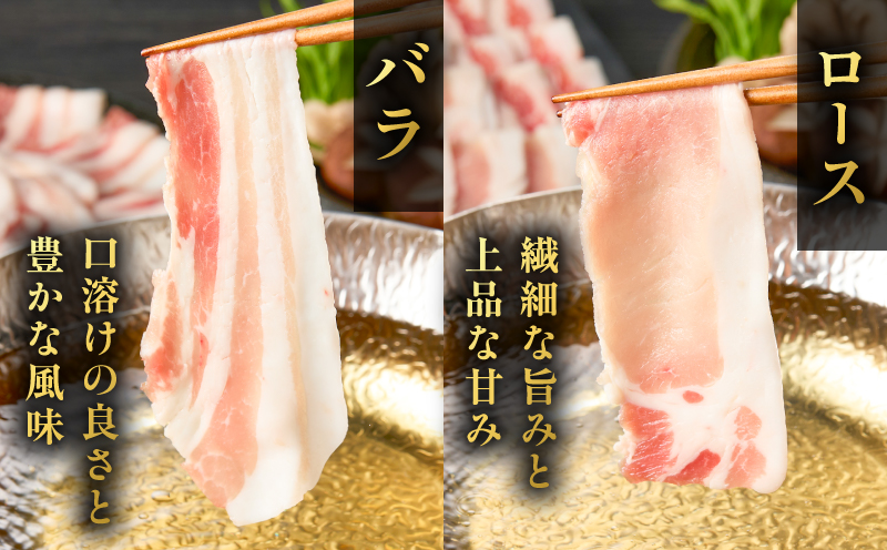 昔ながらの黒豚しゃぶしゃぶセット1.2kg＜ロース、肩ロース、バラ、モモ＞　K125-006