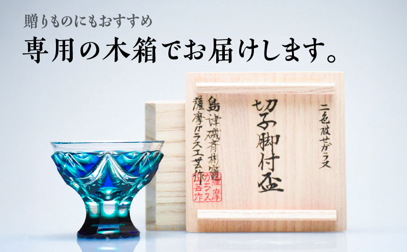 å³¶æŽ¥è©æ©åå èä»ç C-202 ã«ãªéèµ€ãK010-039_01