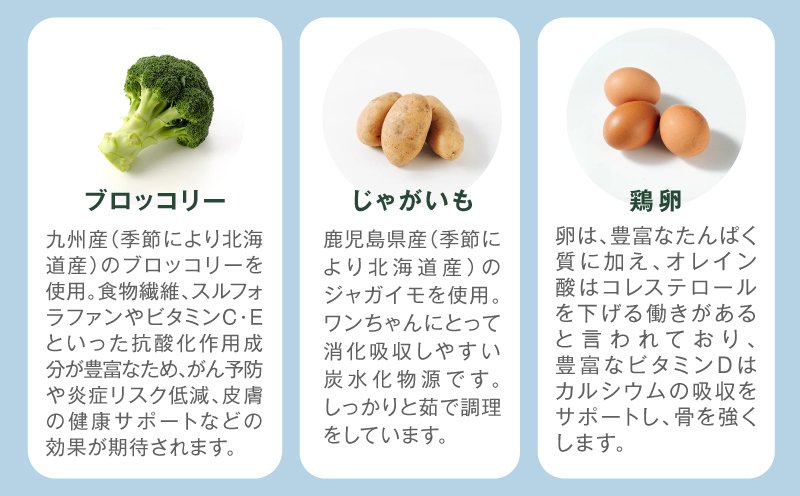 縲仙ィ12蝗槫ョ壽悄萓ソ縲腺uddy FOOD 04 繧オ繝静6繝代ャ繧ッ縲K390-T04_c縲殖uddycare譬ェ蠑丈シ夂、セ縲