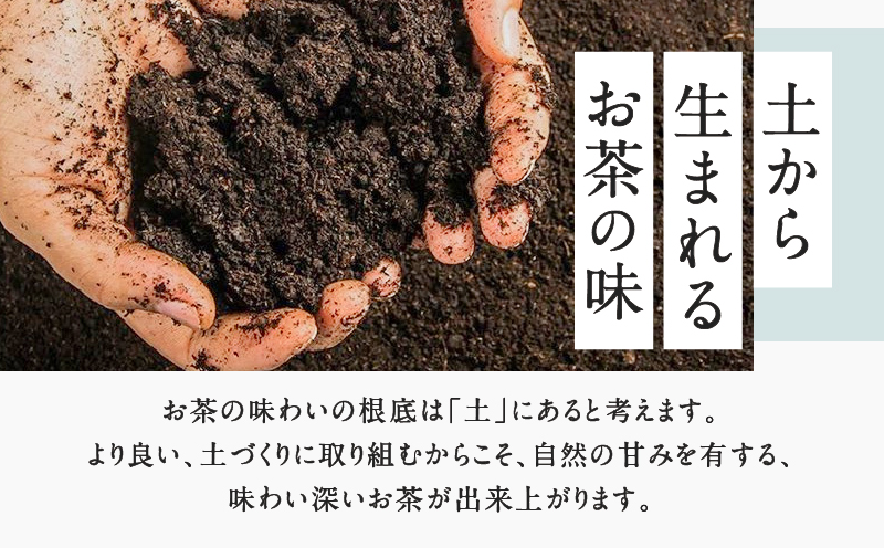 茶問屋のあまくておいしい鹿児島茶 5本セット　K112-006