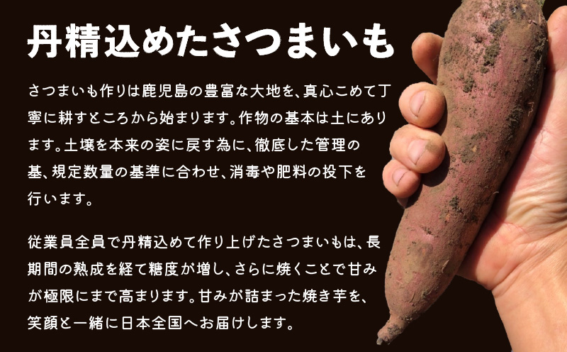 ãå
š5åããçã®é貚ãçŒãèçŽ
ã¯ãã3kg å®æäŸ¿ãK181-T02ãçã®é貚 çãã販売æã