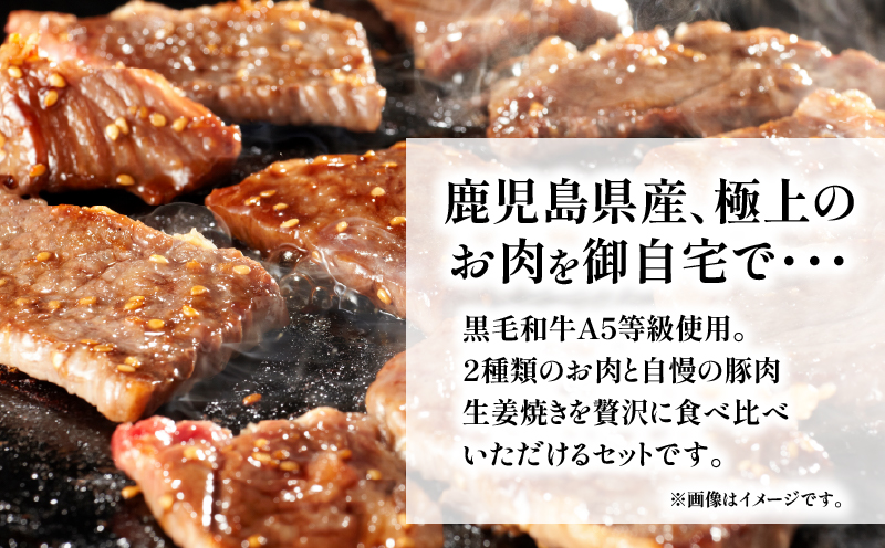 縲10蝟カ讌ュ譌・莉・蜀縺ォ逋コ騾√鷹サ呈ッ帛柱迚帛袖豈斐∋縺ィ逕溷ァ懃┥縺阪ョ繧サ繝繝医K265-006