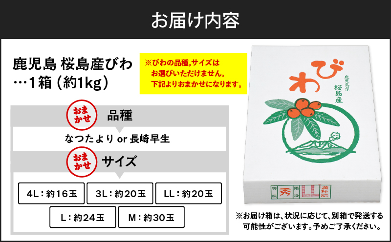 旬の朝採り！ 鹿児島 桜島産びわ 1箱（秀品）　K343-001