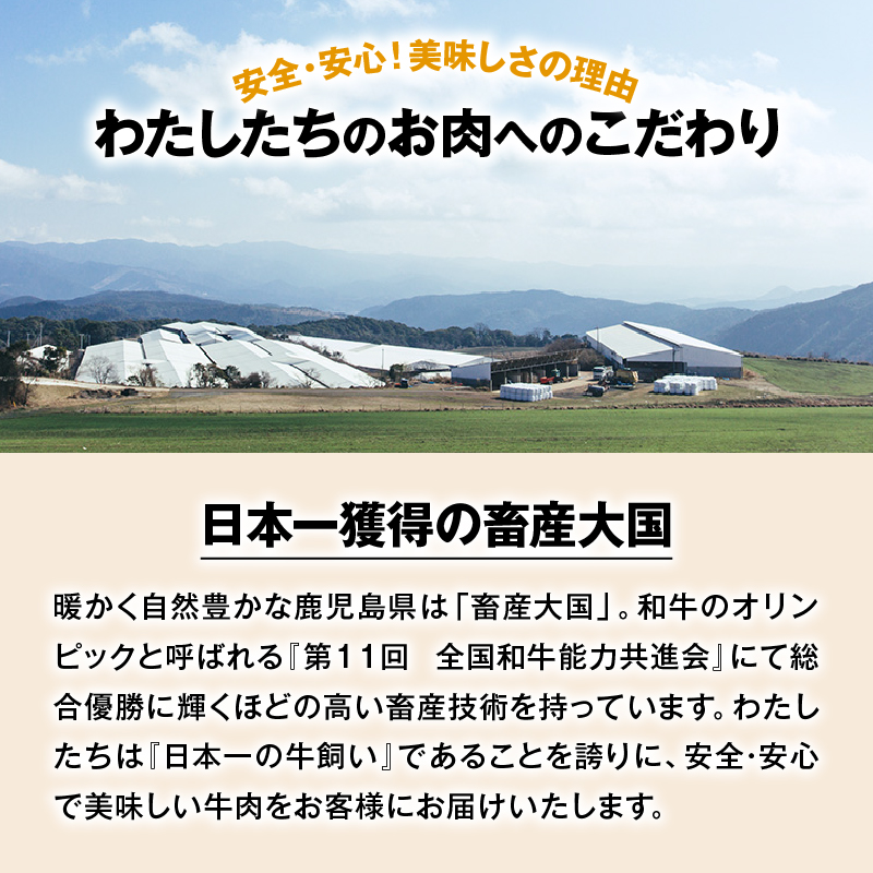 A5鹿å
島黿¯åçåžå°éšäœã¹ããŒãã»ãã 600gãK002-003