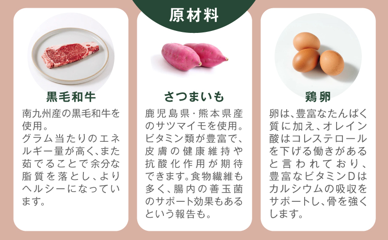 Buddy FOOD 01 鮟呈ッ帛柱迚崚6繝代ャ繧ッ縲K390-001_01