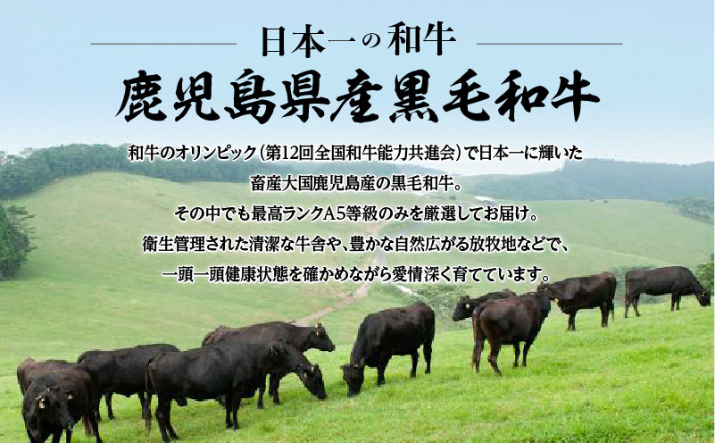 【全4回】A5等級鹿児島黒毛和牛赤身定期便　K002-T01