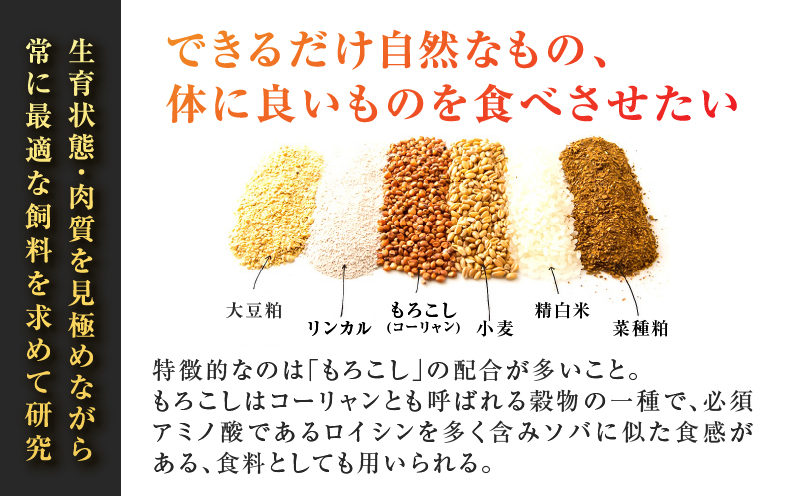 鹿児島うんまか豚生餃子4パック（餃子48個入り・タレ付）　K005-003_01