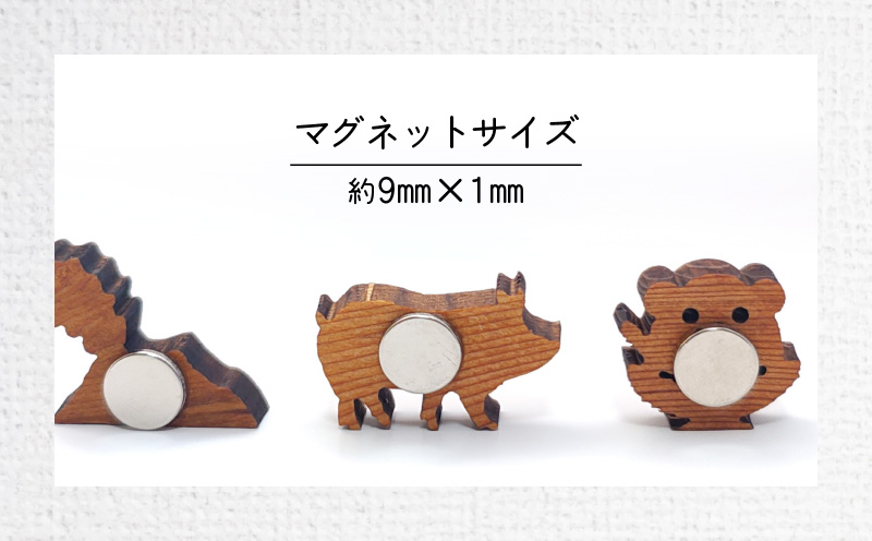 かごしマグネット 3個セット（丸十、桜島、黒豚）　K391-003_02