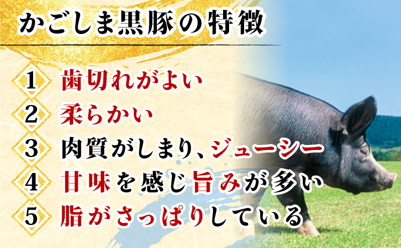 鹿児島黒豚　バラエティーセット　K091-008