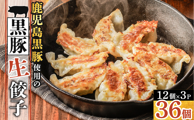 鹿児島黒豚使用の黒豚餃子 36個　K202-001_01