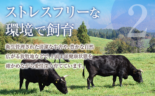 鹿児島県産黒毛和牛切落し900g　K208-019