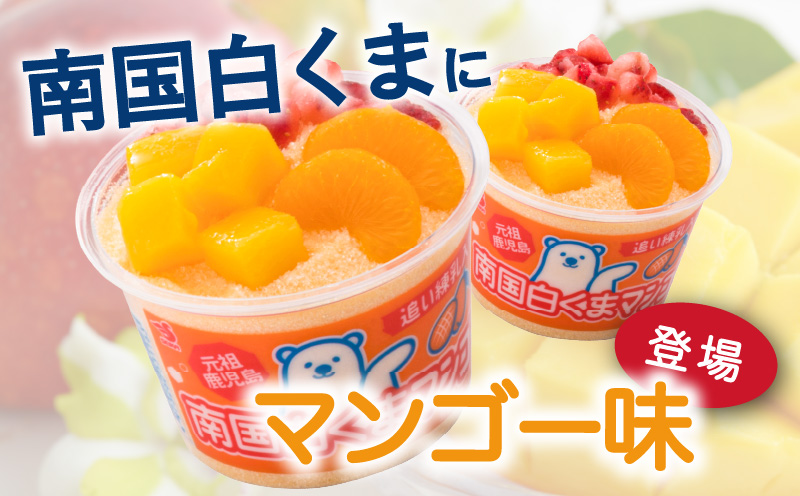 セイカ食品 南国白くまDX 詰め合わせセット　K051-002