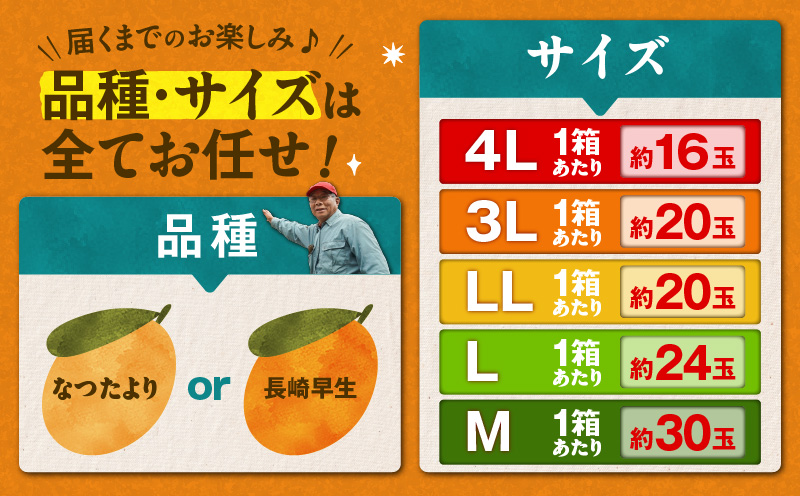 旬の朝採り！ 鹿児島 桜島産びわ 3箱（訳あり品）　K343-002_03