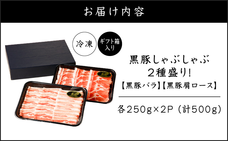 縲占エ育ュ皮畑縲鷹サ定ア壹@繧縺カ縺励c縺カ2遞ョ逶幢シ√K151-005_02