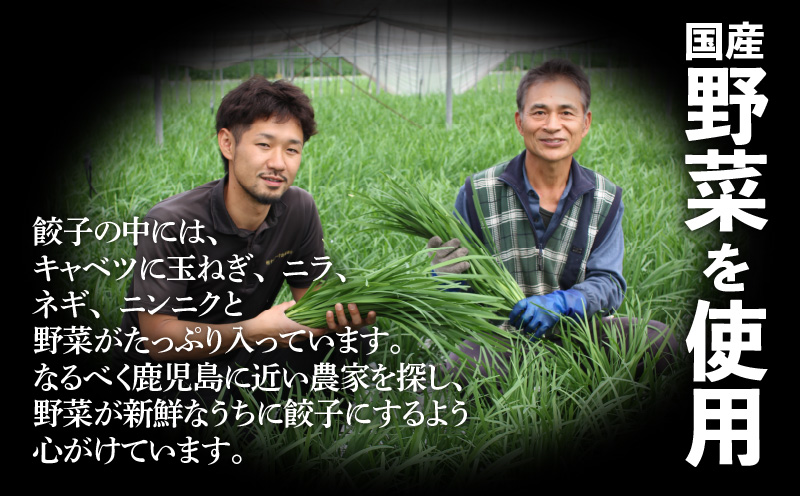 縲千ャャ1蝗 譌・譛ャ蜈ィ蝗スシ√#蠖灘慍蜀キ蜃埼」溷刀螟ァ雉 2024-2025 蜆ェ遘雉槫女雉橸シ√鷹ケソ蜈仙ウカ鮟定ア100%鬢蟄 48蛟句・繧翫K027-008