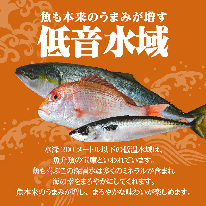 【海幸】漬け魚詰合せFK-02　K065-005