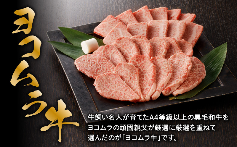 【鹿児島黒毛和牛A4〜A5】焼肉特上セット（特上カルビ/特上ロース）　K189-007