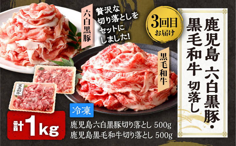 【全5回】一家に一肉！鹿児島の万能お肉定期便　K000-T2326