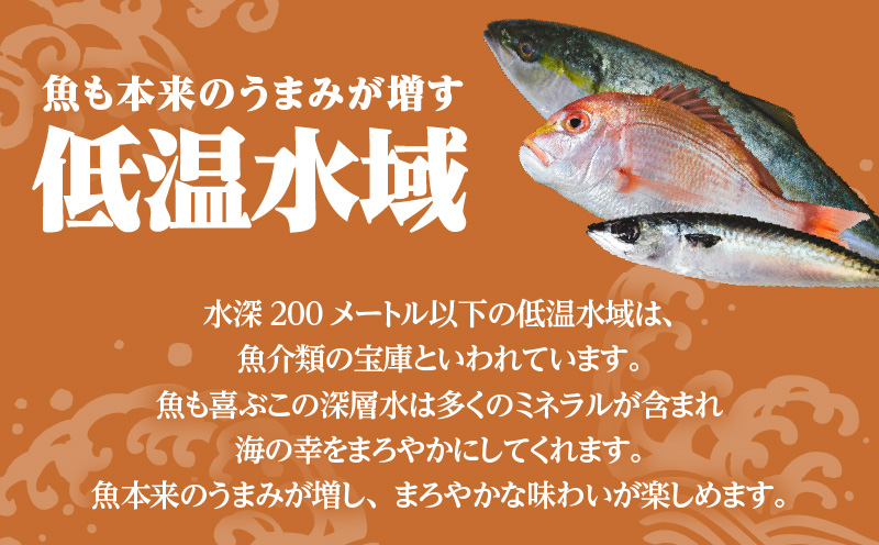 縲先オキ蟷ク縲第シャ縺鷹ュ 9遞ョ 隧ー繧∝粋繧上○シFK-02シ峨K065-005