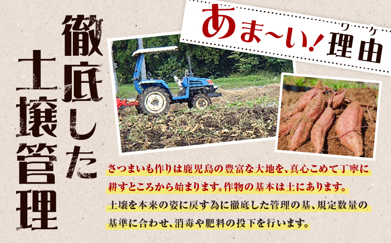 畑の金貨 生芋 紅はるか4kg　K181-006