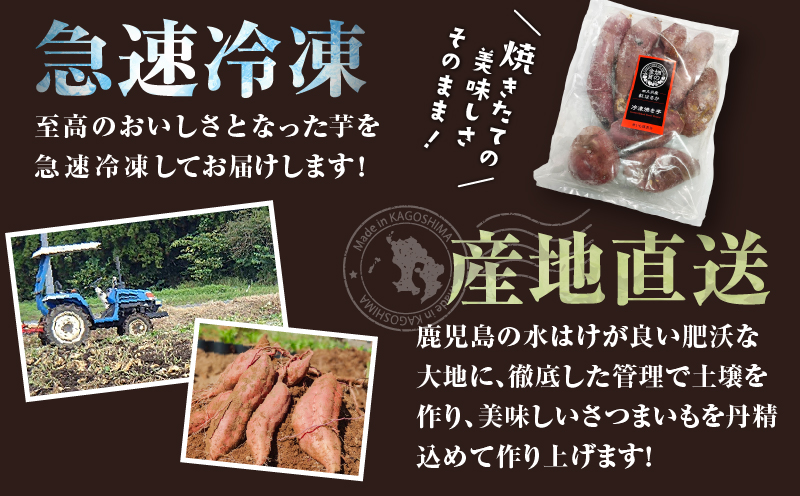 畑の金貨 焼き芋紅はるか2kg　K181-005_01