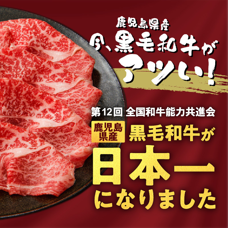 黒毛和牛100%牛餃子12個入り × 6Pセット　K098-006