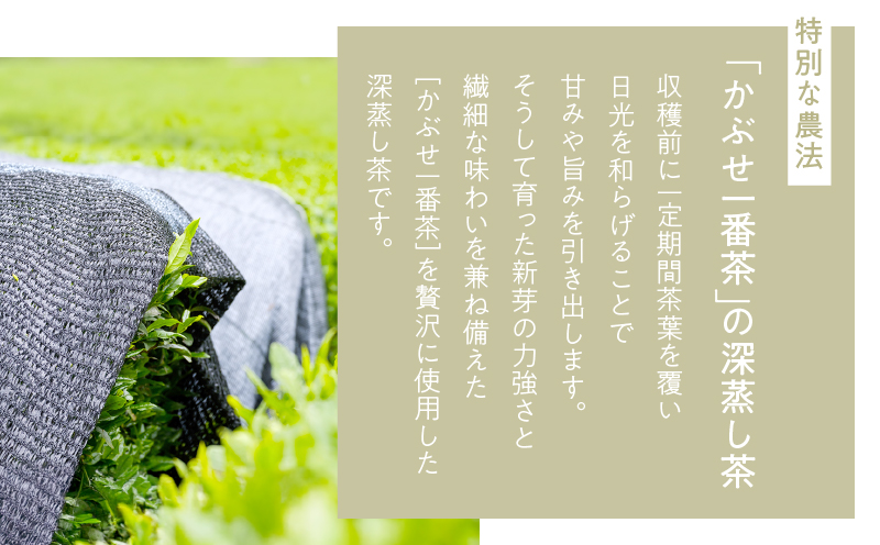 華ゆらぎ 300g（100g×3本）　KN162-003-02