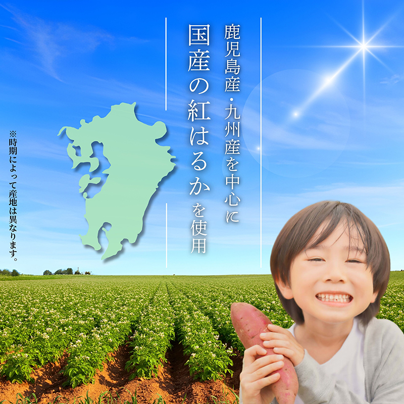 2672 濃密 鹿児島県産 熟成 紅はるか 冷凍 焼き芋 3kg（500g×6袋） さつまいも　KN097-001-04