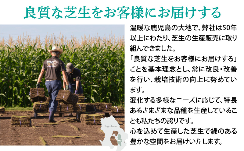 TM9（ティーエムナイン）省管理型コウライシバ トヨタ自動車(株)開発品種 50平米　KN080-007-05