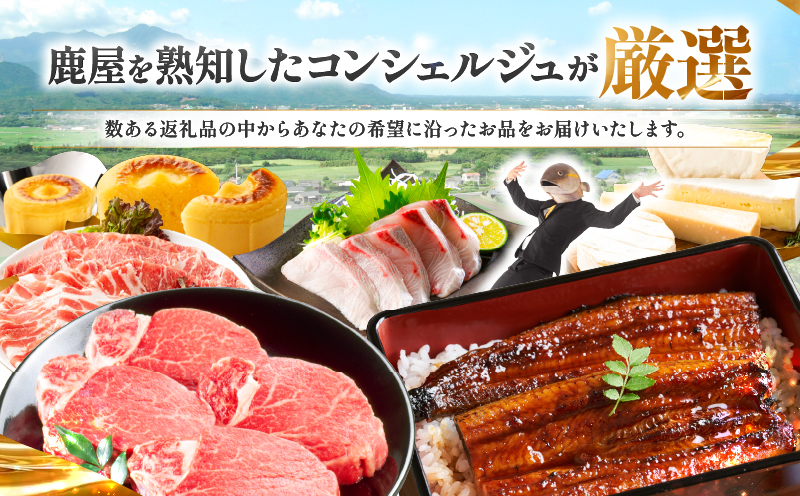 コンシェルジュプラン 寄付額200万円コース　KN000-CP200