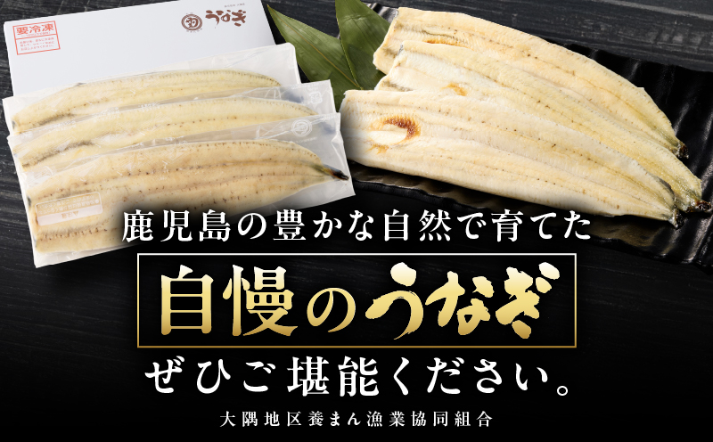 鹿児島県大隅産うなぎ白焼 4尾 計450g　KN007-011