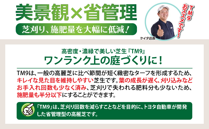 TM9（ティーエムナイン）省管理型コウライシバ トヨタ自動車(株)開発品種 2平米　KN080-007-02