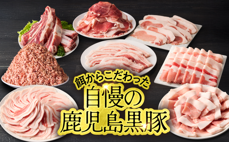 鹿児島県産 黒豚ロースとんかつ 8枚セット　KN054-019