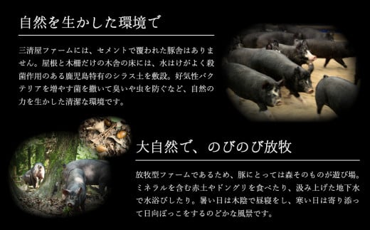 希少「かごしま森の黒豚」しゃぶしゃぶお試しセット【黒豚 豚 しゃぶしゃぶ ロース 肩ロース バラ モモ スライス 薄切り 小分け 国産 お試し】