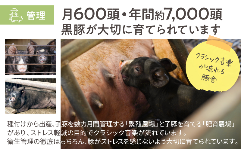 鹿児島県産 黒豚ロースしゃぶしゃぶ 500g、ロース生姜焼 500gセット　KN054-018