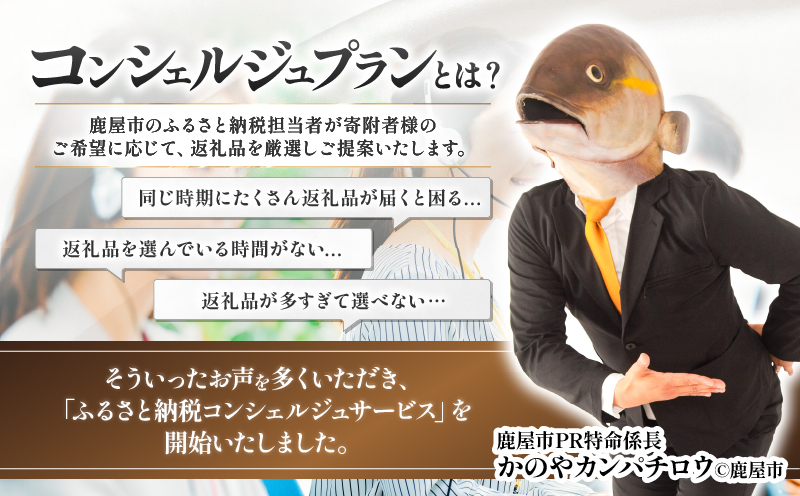 コンシェルジュプラン 寄付額100万円コース　KN000-CP100