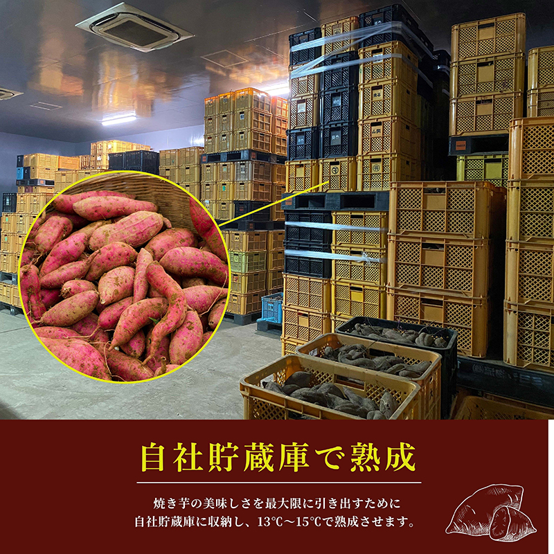 2670 濃密 鹿児島県産 熟成 紅はるか 冷凍 焼き芋 1.5kg（500g×3袋） さつまいも　KN097-001-02
