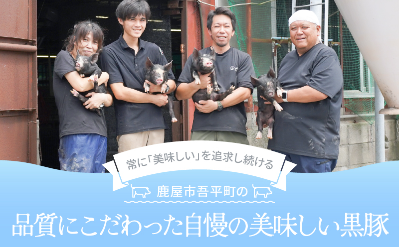 鹿児島県産 黒豚ロースとんかつ 8枚セット　KN054-019