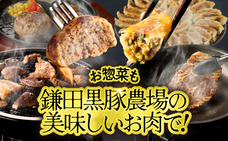 鹿児島県産 黒豚ロースしゃぶしゃぶ 500g、ロース生姜焼 500gセット　KN054-018