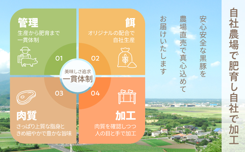鹿児島県産 黒豚ロースとんかつ 8枚セット　KN054-019