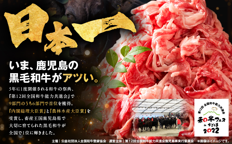 鹿児島県産黒毛和牛モモスライス 計1kg（500g×2P）　KN102-001-02