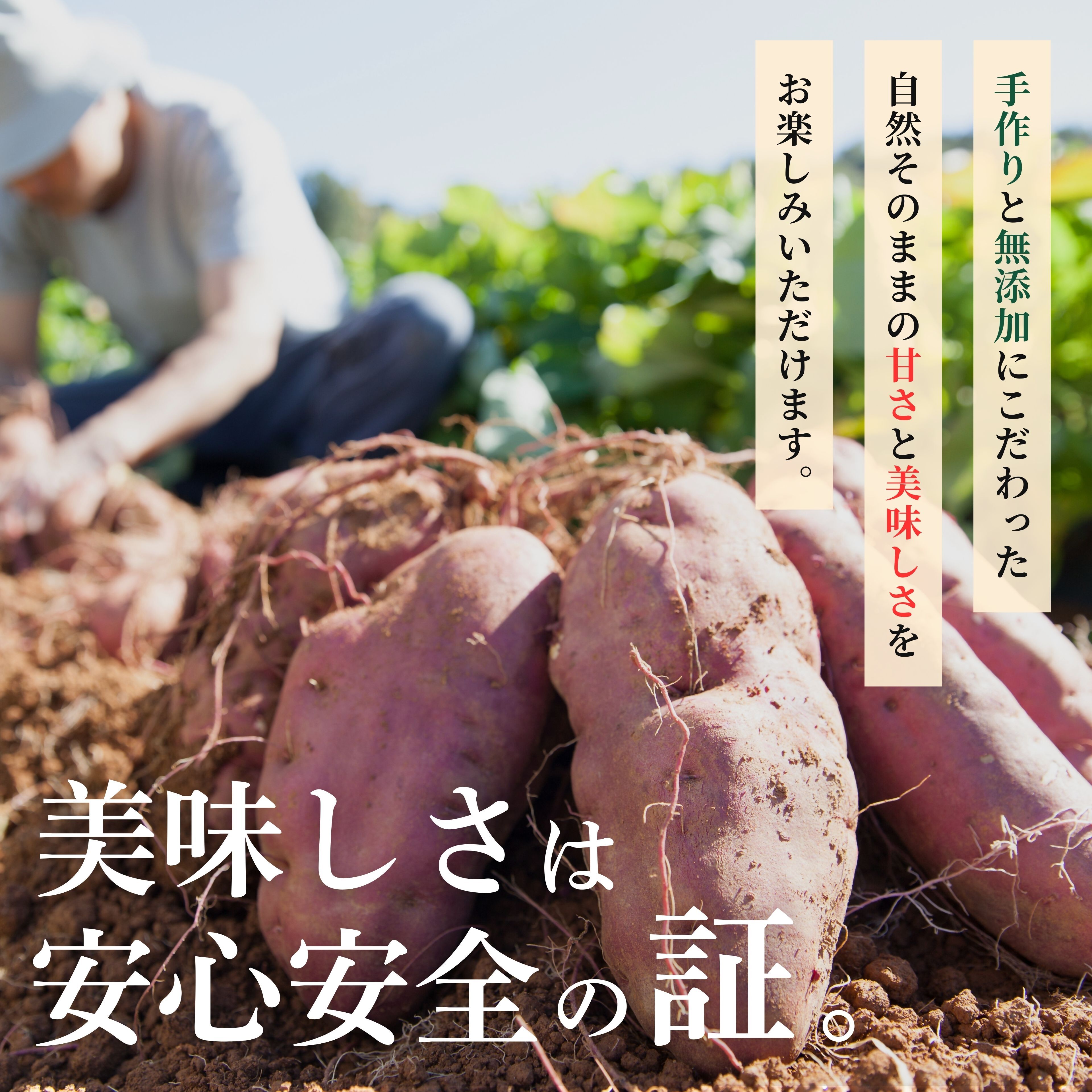 2683 【訳あり】 濃密 鹿児島県産 焼き芋 1kg　KN097-003-02