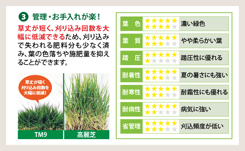 TM9（ティーエムナイン）省管理型コウライシバ トヨタ自動車(株)開発品種 30平米　KN080-007-04
