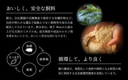 希少「かごしま森の黒豚」ヒレ＆ロースステーキ（850ｇ）【黒豚 豚 ヒレ ロース ステーキ ごちそう 小分け 国産】