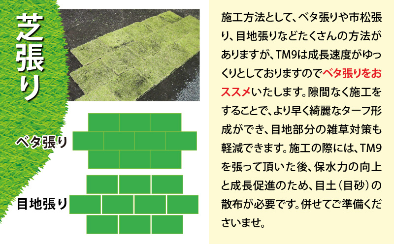 TM9（ティーエムナイン）省管理型コウライシバ トヨタ自動車(株)開発品種 2平米　KN080-007-02