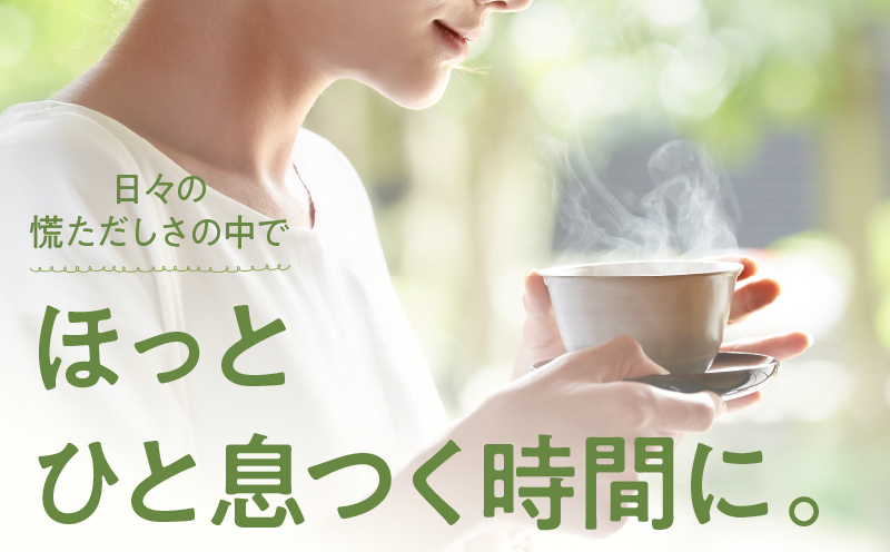 ホッとするね いつものお茶 1kg（100g×10本）　KN162-002-04